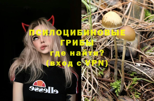 мет Балахна
