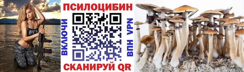 Галлюциногенные грибы прущие грибы  Соль-Илецк 