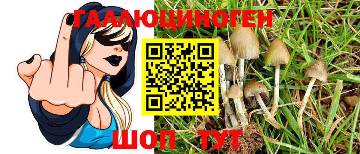 Соль-Илецк  Псилоцибиновые грибы MAGIC MUSHROOMS  Вход с VPN  Псилоцибиновые грибы Psilocybe 