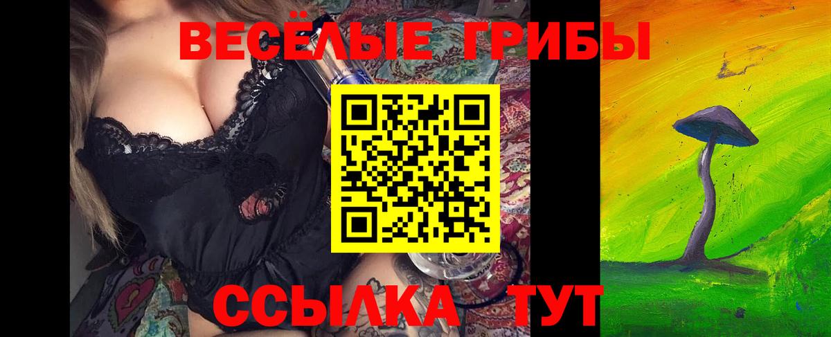 Псилоцибиновые грибы Psilocybine cubensis Соль-Илецк